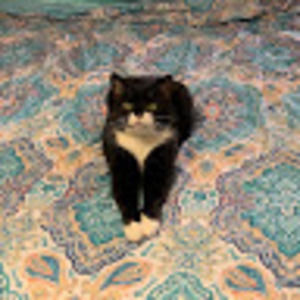 Meet your Posher, Stephie